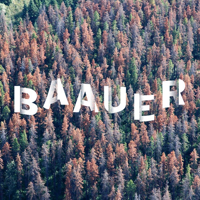 baauer