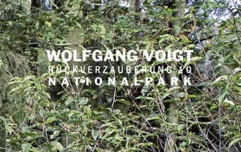 wolfgang_voigt_"rückverzauberung_10___nationalpark"