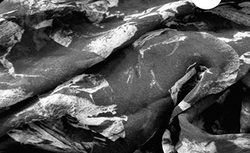 The KVB - Of Desire