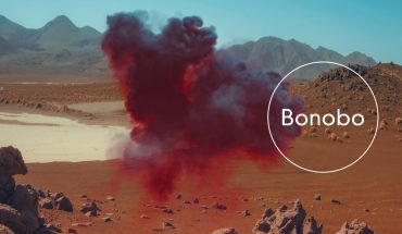 bonobo-samurai