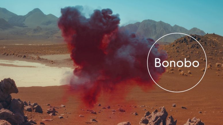 bonobo-samurai
